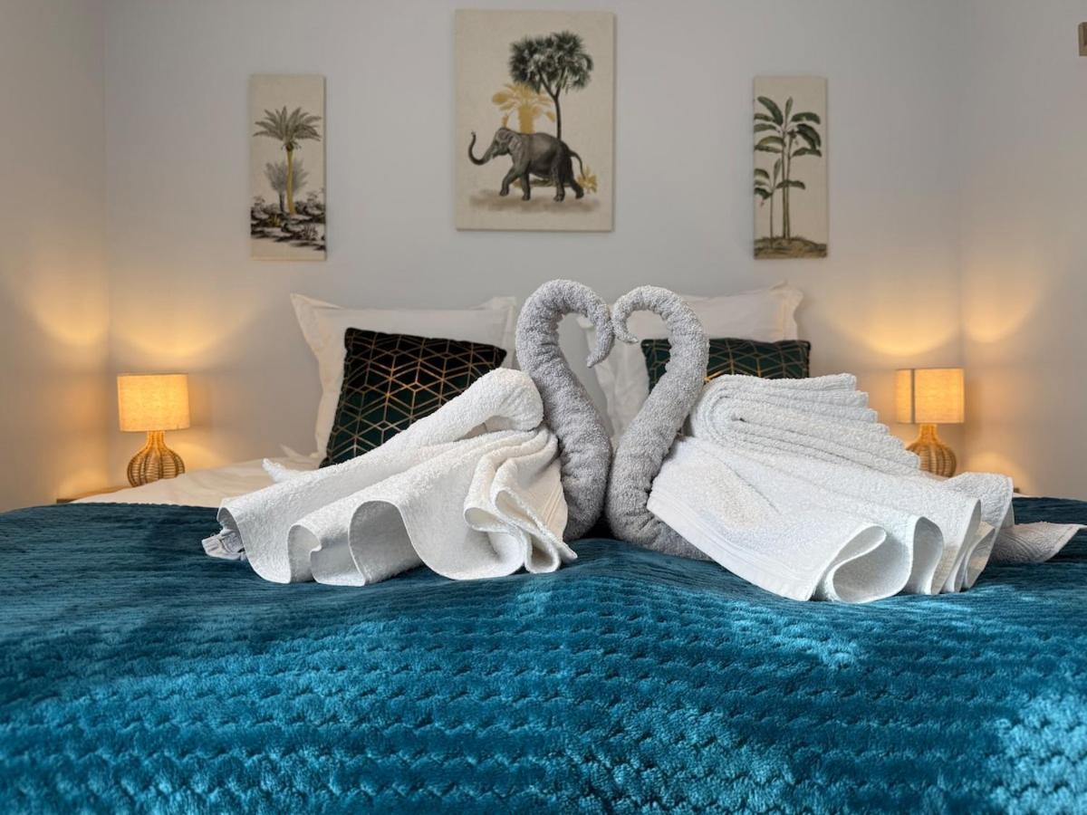 Appartement Le Cocon Proche Station Ski-Piscine Saint Avre la Chambre 외부 사진